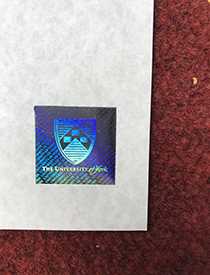 How Does A Real Hologram of University of York(York