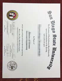 How Much Does A Fake (SDSU) San Diego State Univers