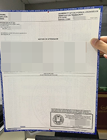 Buy Fake UCLA (University of California, Los Angele