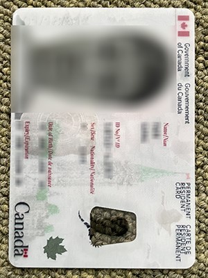 How many people does to purchase a fake Canadian ID