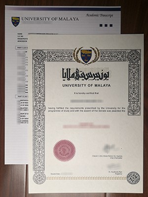 How much does a fake University of Malaya degree an
