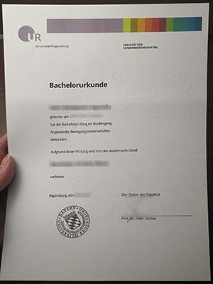 How to purchase a phony Universität Regensburg deg