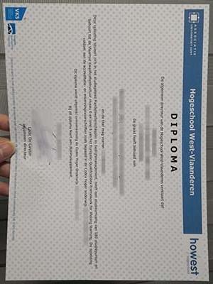 How much does a fake Hogeschool West-Vlaanderen dip