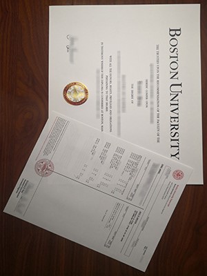 How many people does to buy a fake Boston Universit