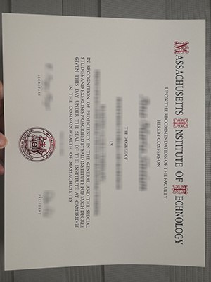 Why so many people purchase a fake MIT Degree every