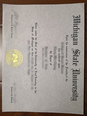 How much does to buy a fake Michigan State Universi