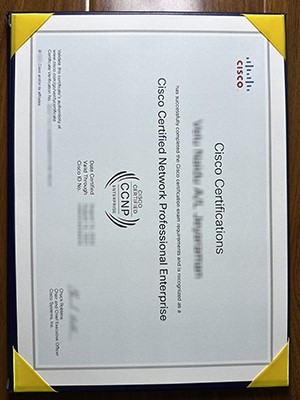 What's the cost does to purchase a fake CCNP certif